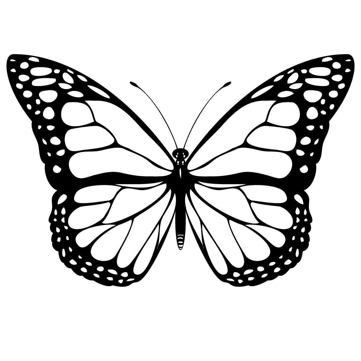 Butterflies Coloring Pages for Adults 1