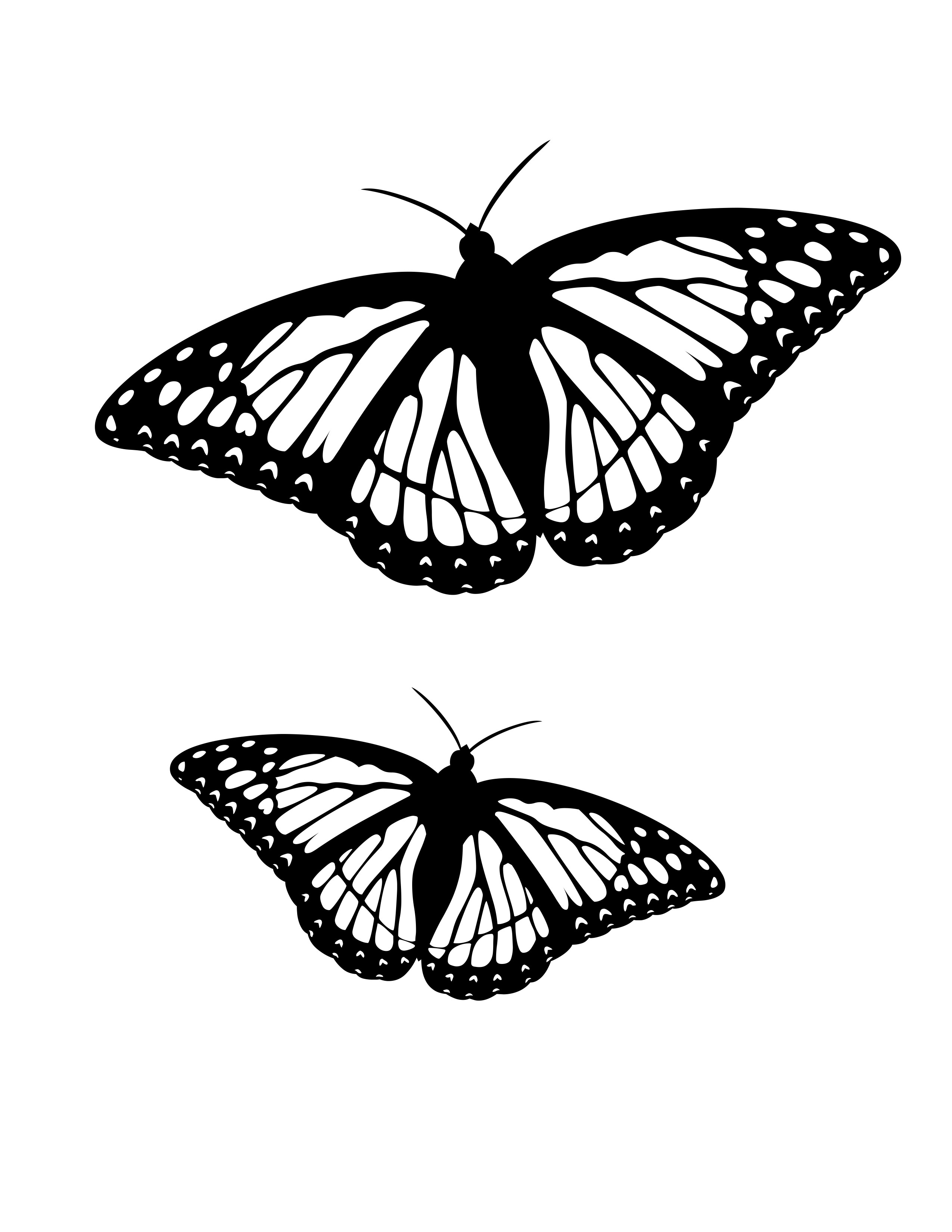 Butterflies Coloring Pages for Adults 10