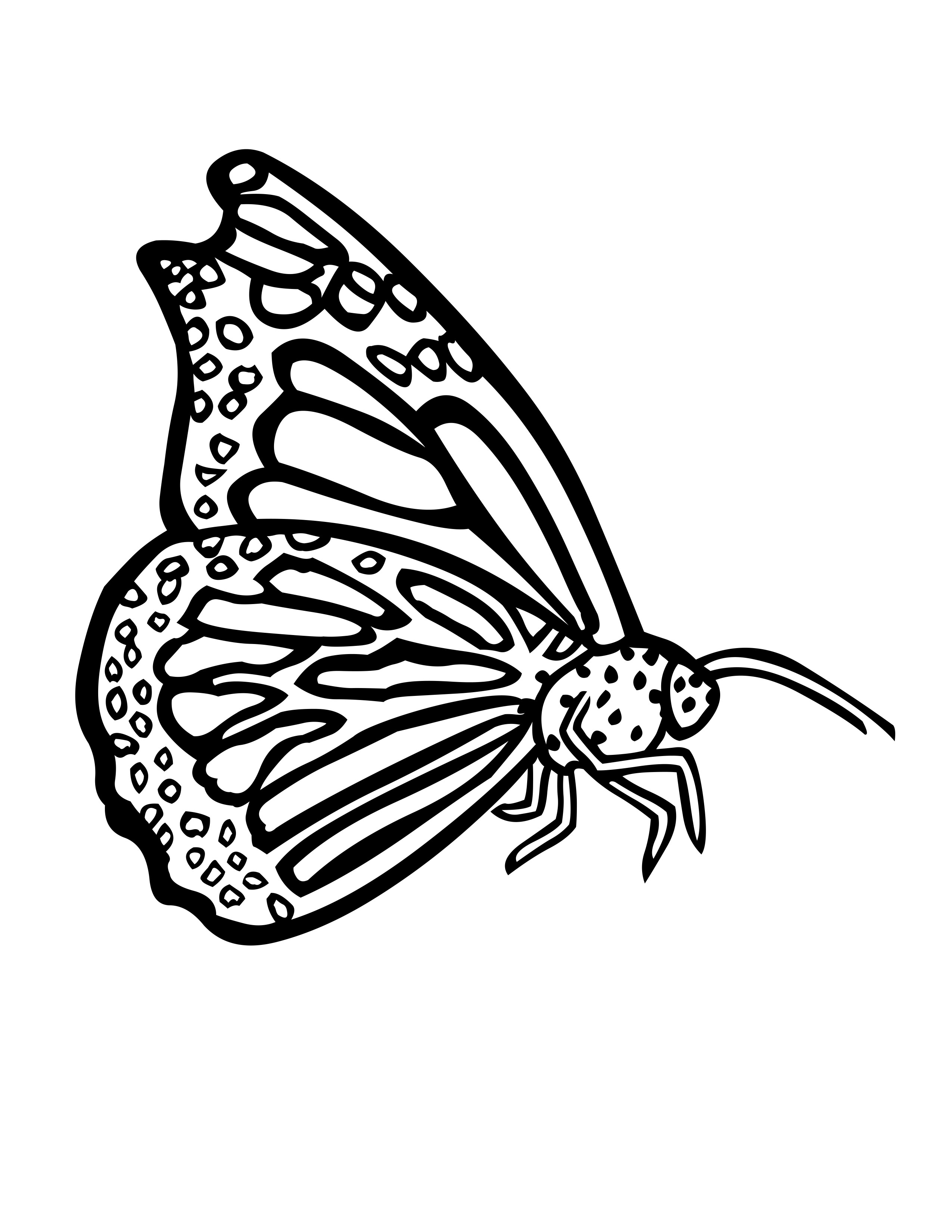 Butterflies Coloring Pages for Adults 106