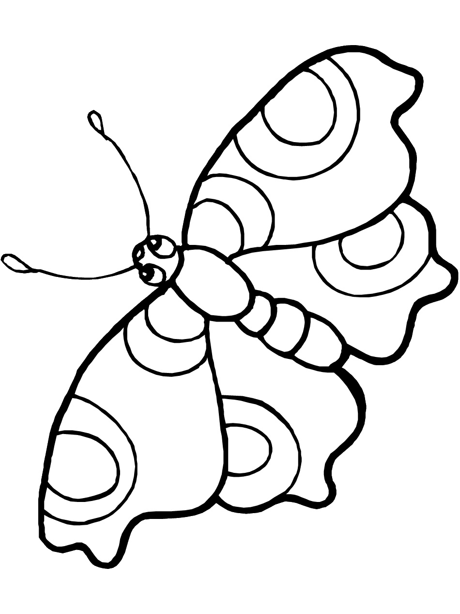 Butterflies Coloring Pages for Adults 108