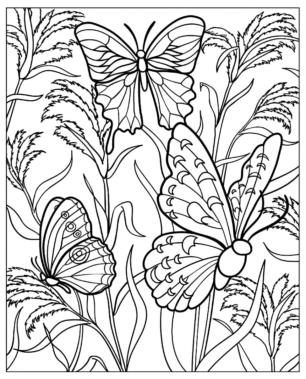 Butterflies Coloring Pages for Adults 109