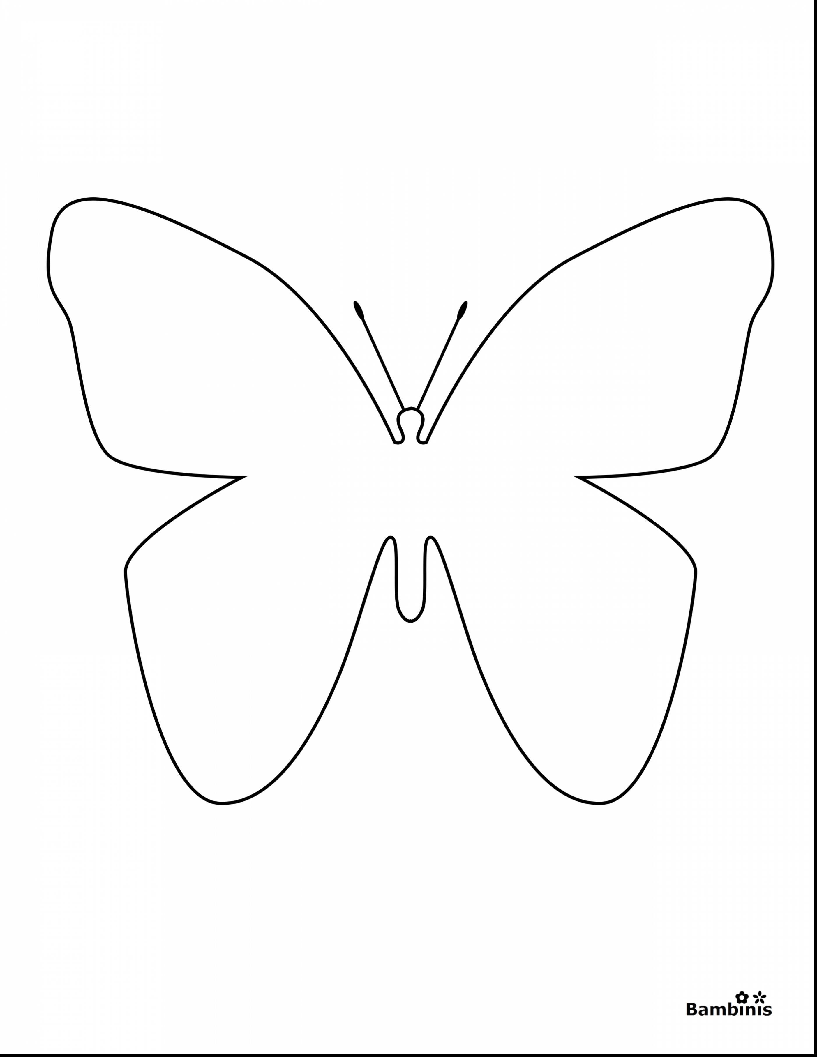 Butterflies Coloring Pages for Adults 122