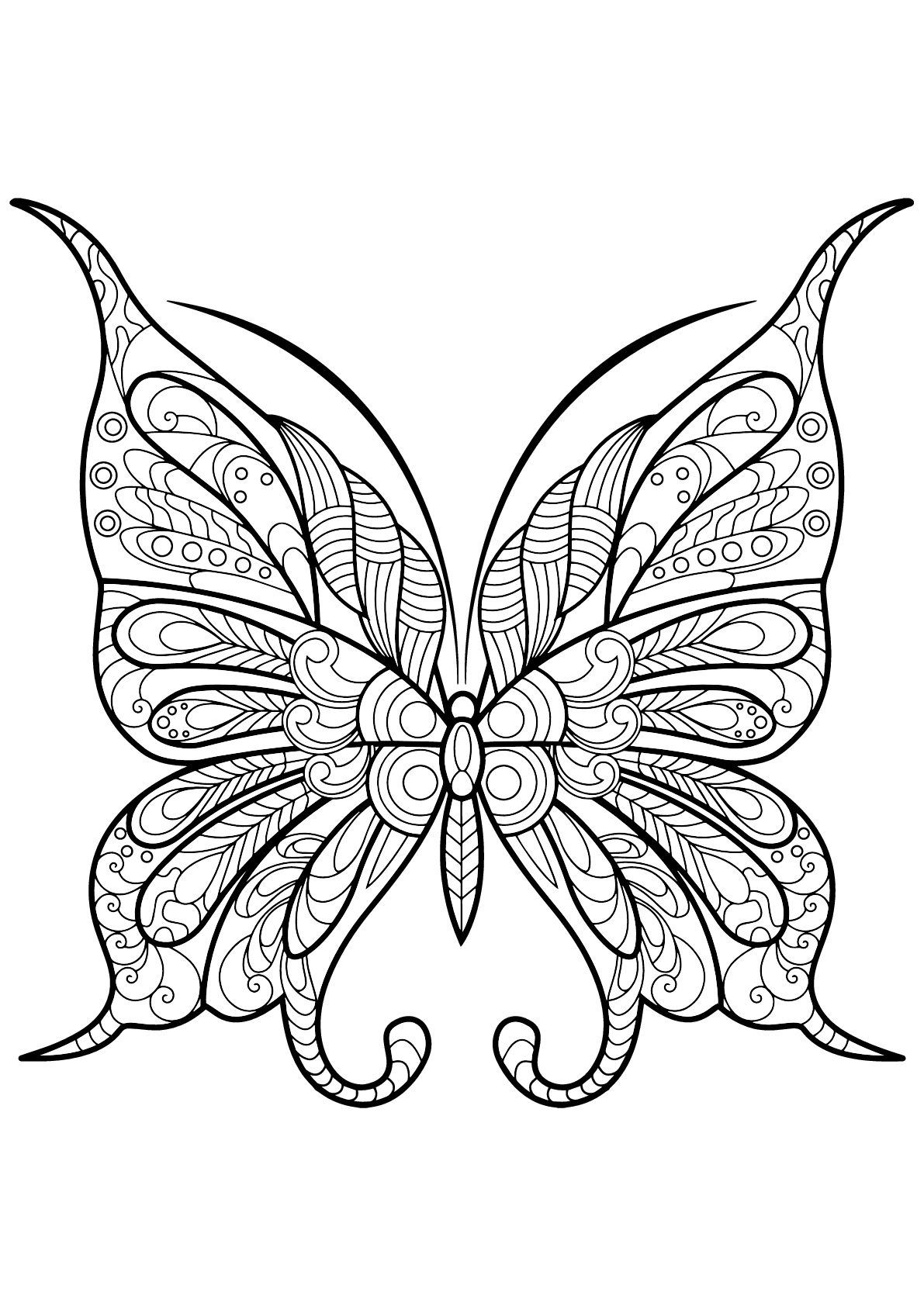 Butterflies Coloring Pages for Adults 127