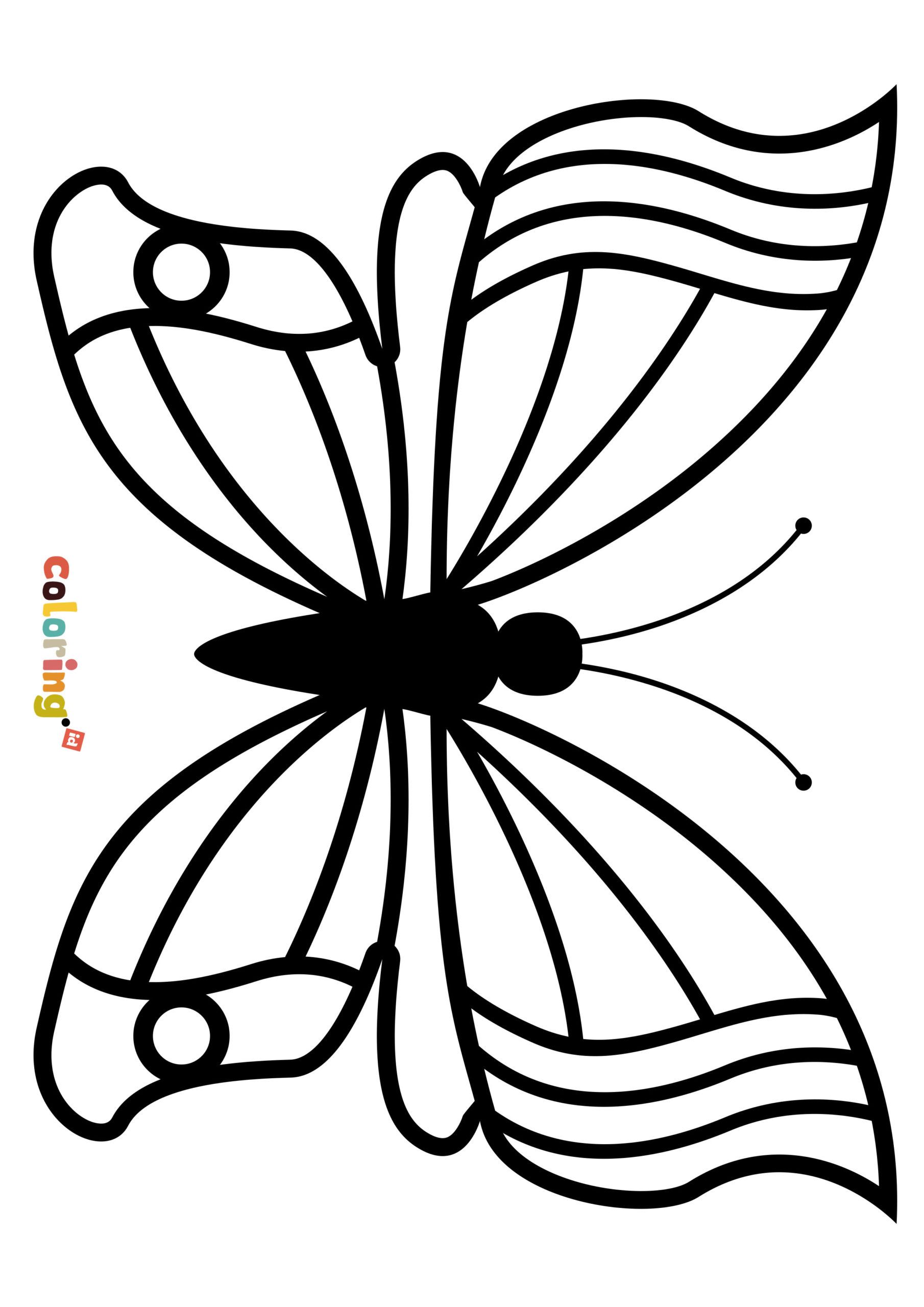 Butterflies Coloring Pages for Adults 13