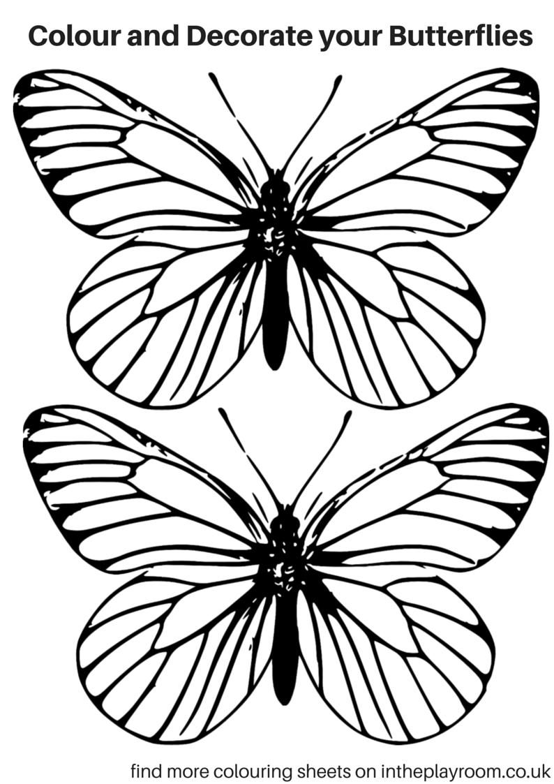 Butterflies Coloring Pages for Adults 130