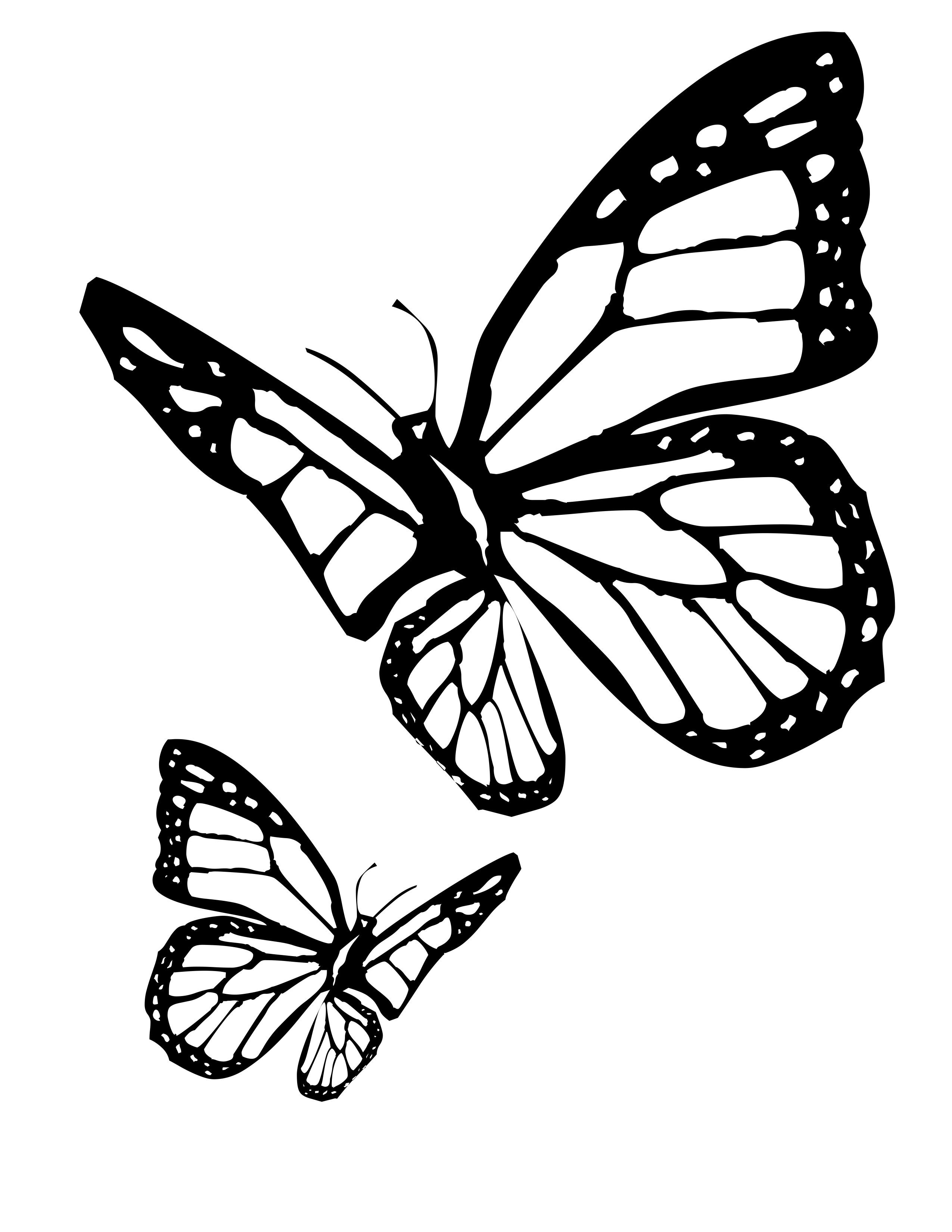 Butterflies Coloring Pages for Adults 133