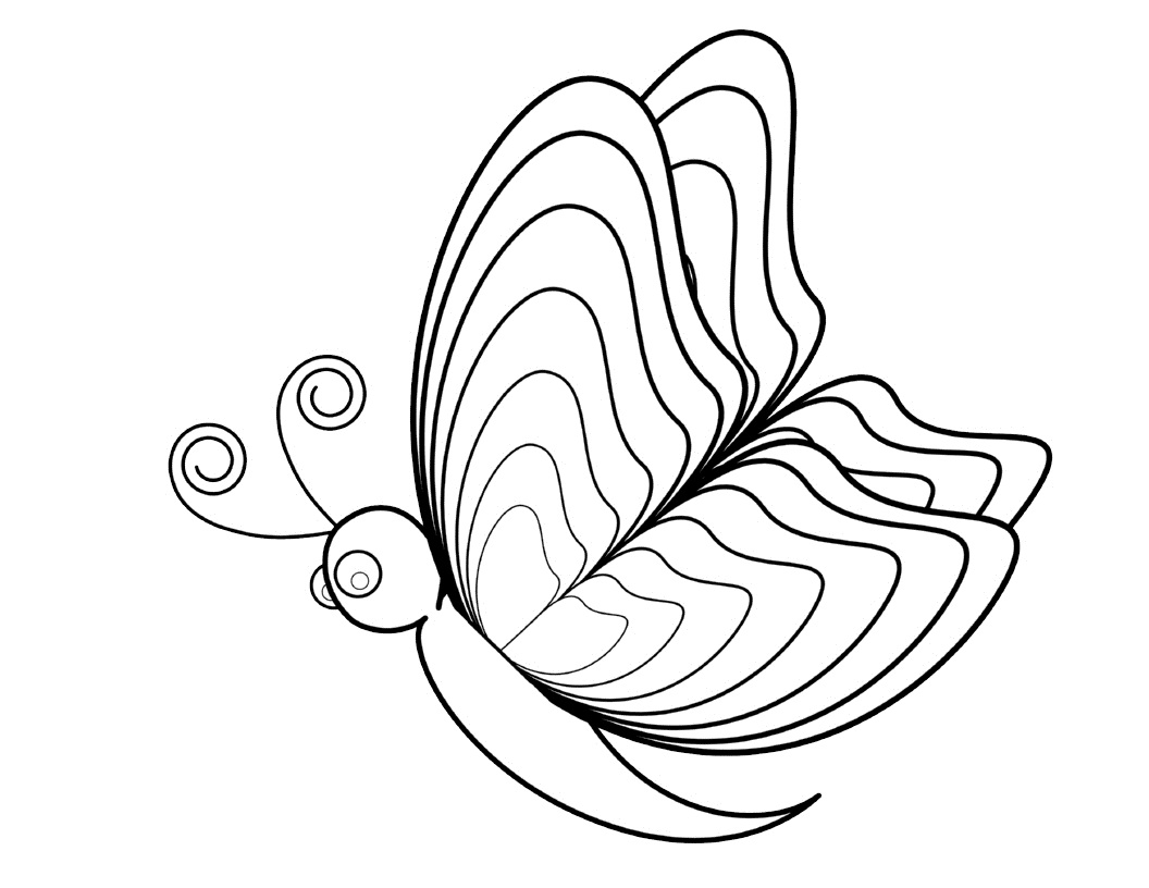 Butterflies Coloring Pages for Adults 135