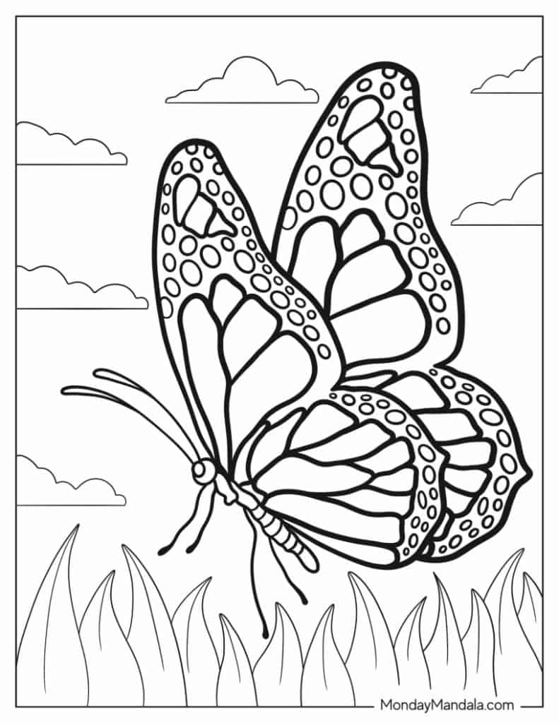 Butterflies Coloring Pages for Adults 138