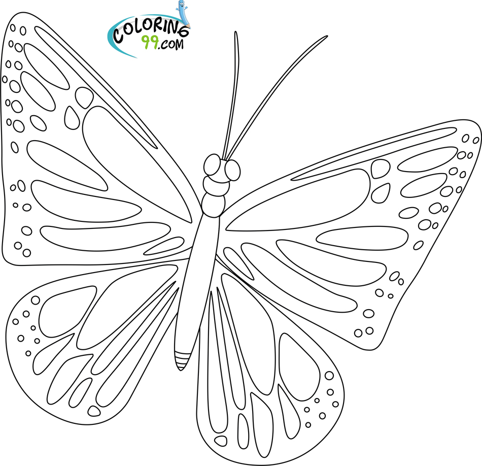 Butterflies Coloring Pages for Adults 145