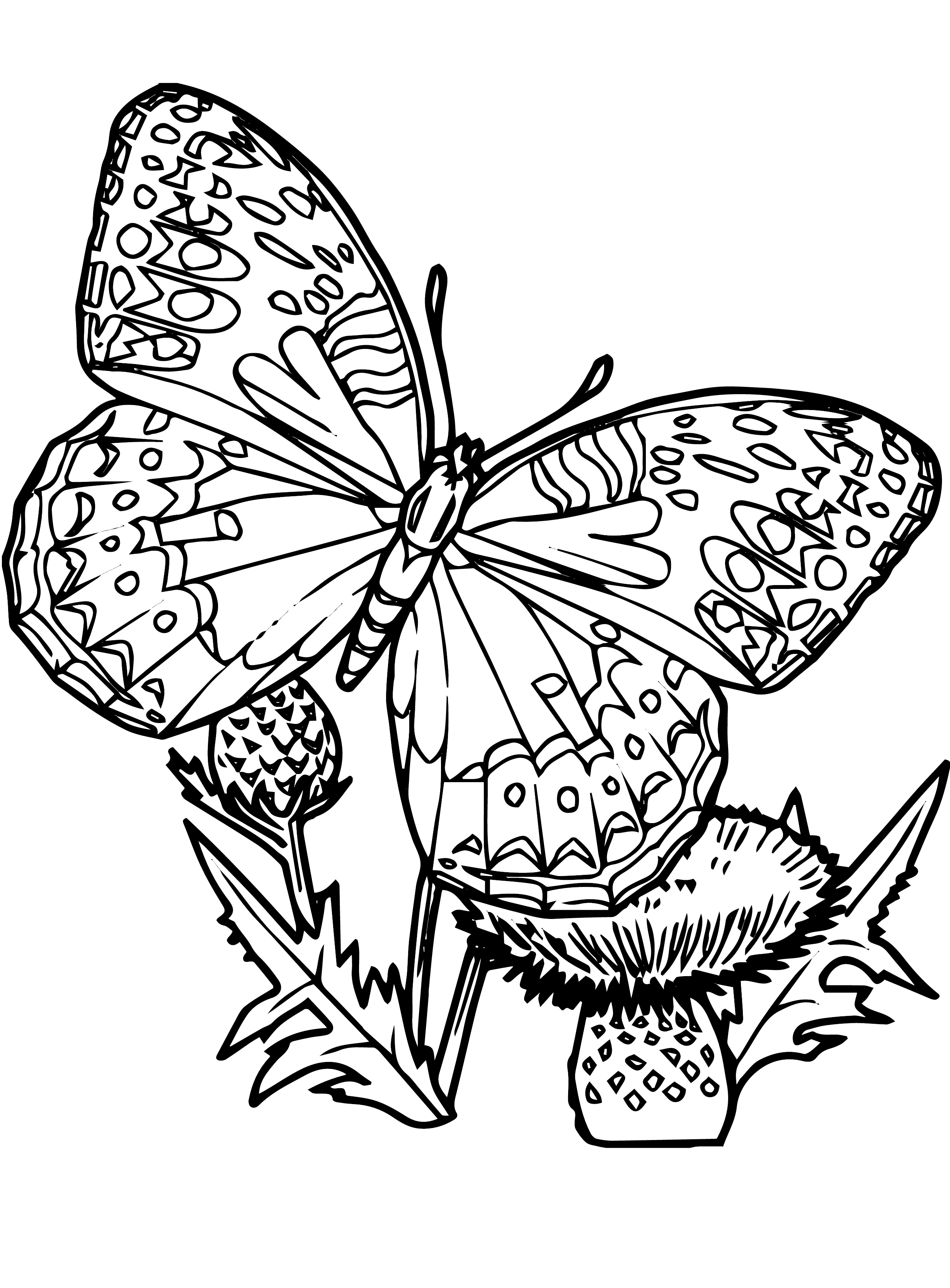 Butterflies Coloring Pages for Adults 149