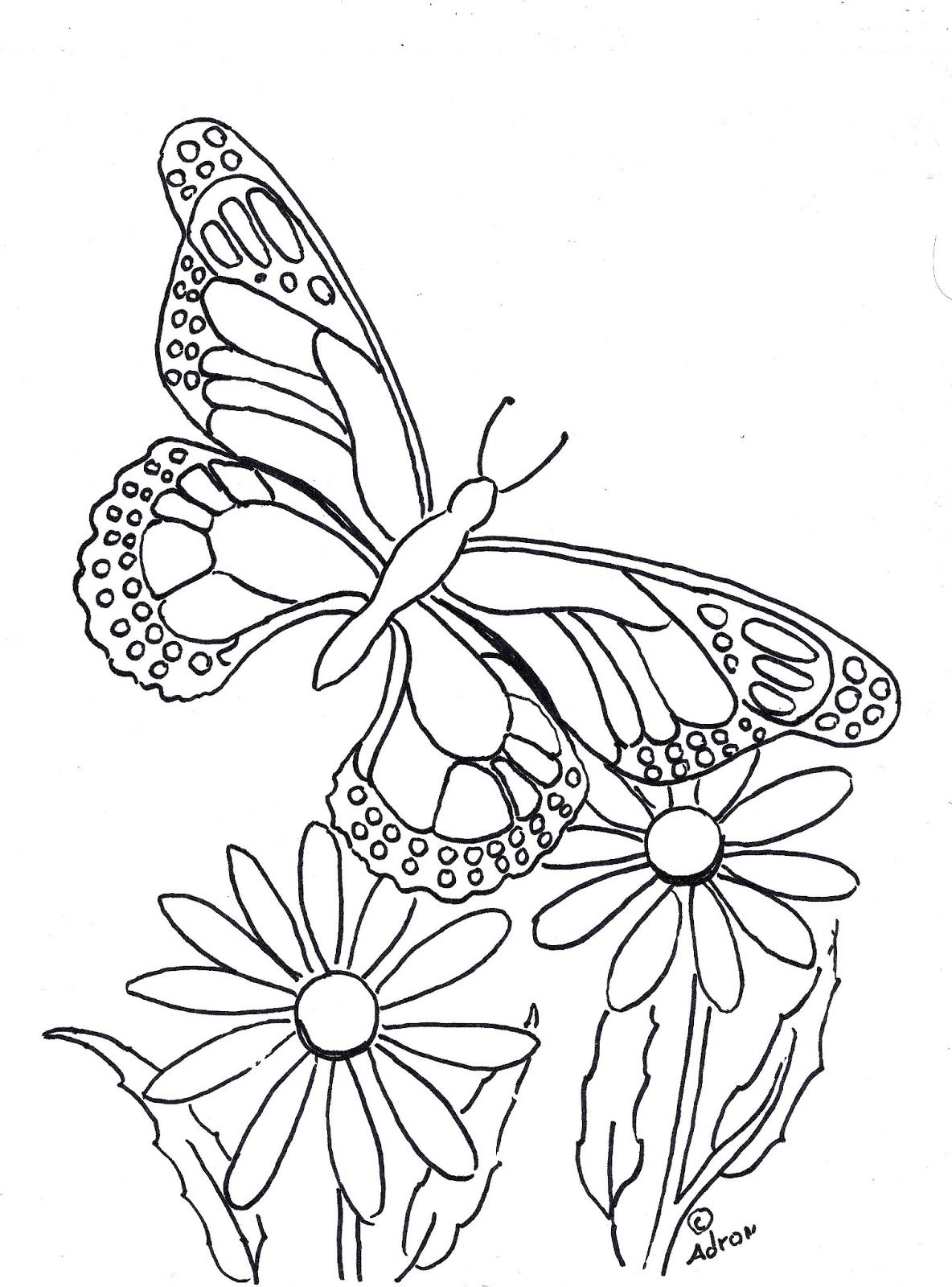 Butterflies Coloring Pages for Adults 150