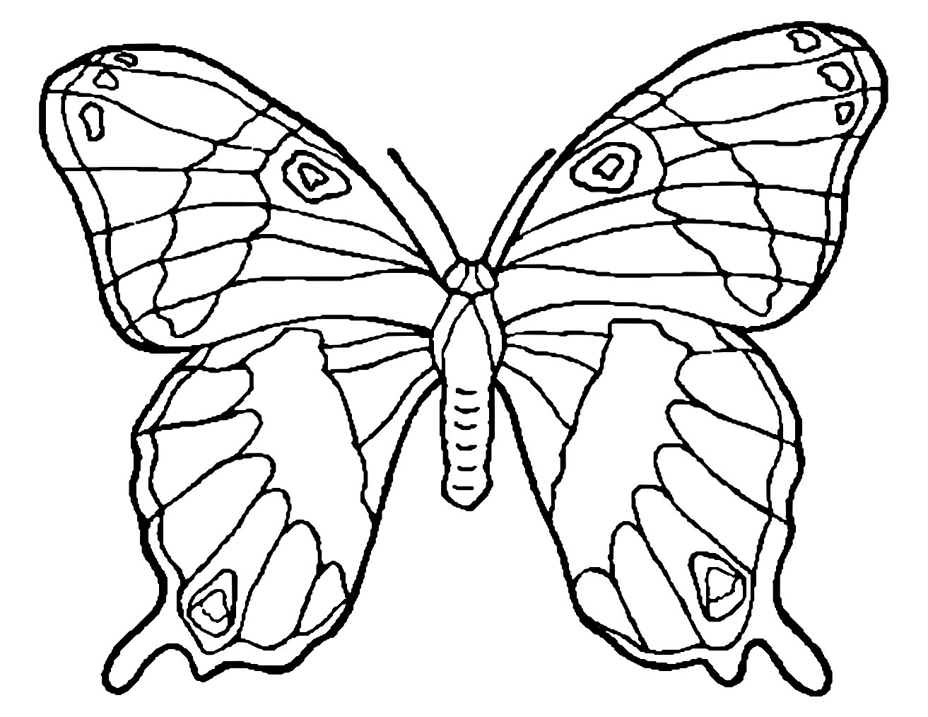 Butterflies Coloring Pages for Adults 151