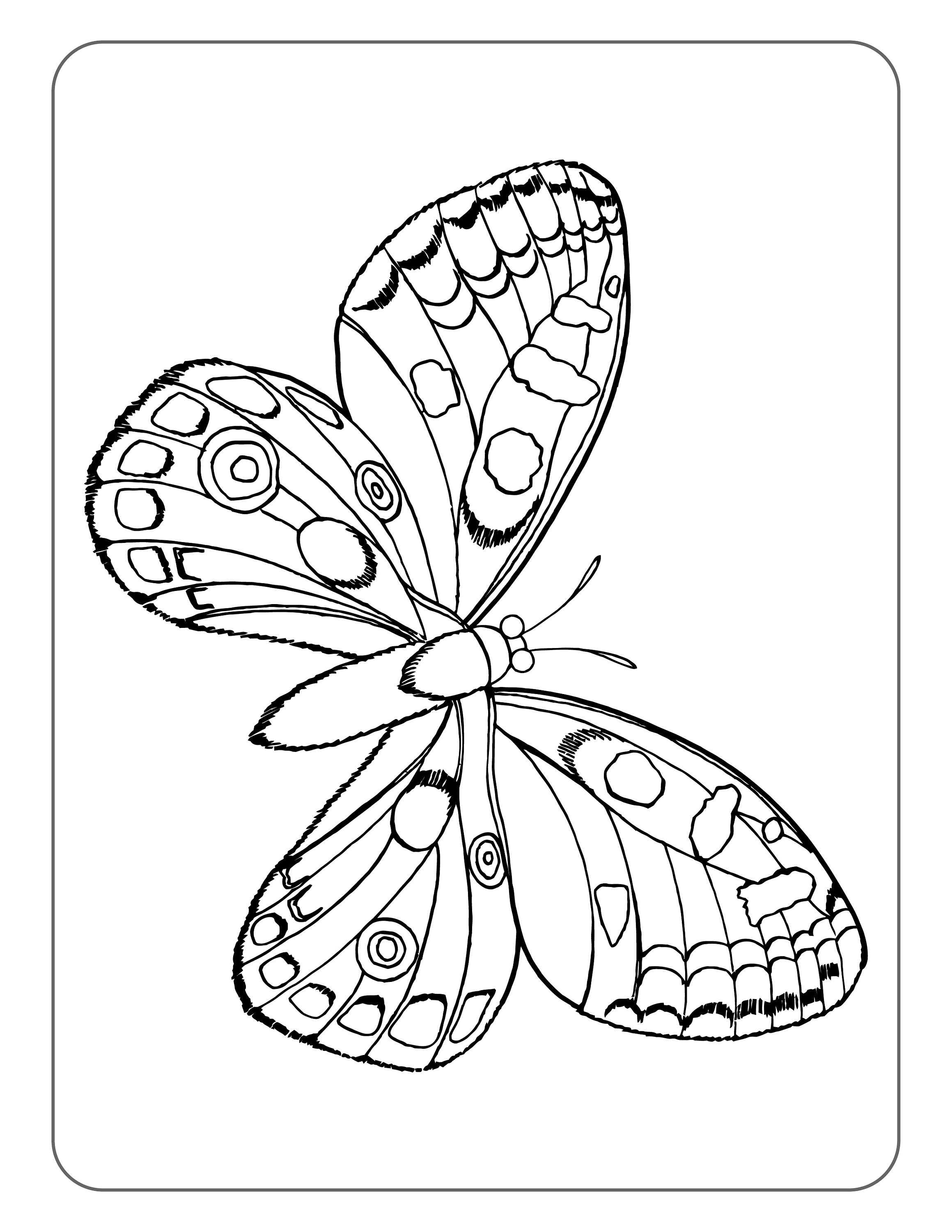 Butterflies Coloring Pages for Adults 157