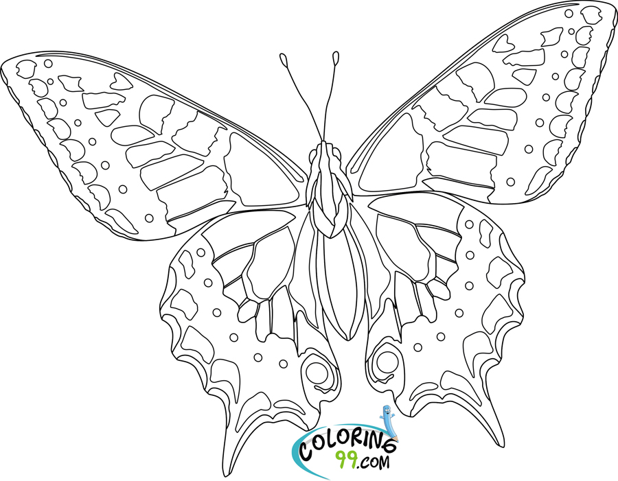 Butterflies Coloring Pages for Adults 16