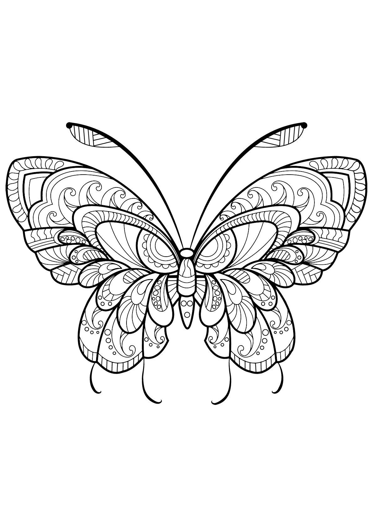 Butterflies Coloring Pages for Adults 163