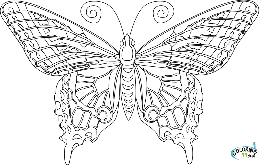 Butterflies Coloring Pages for Adults 166