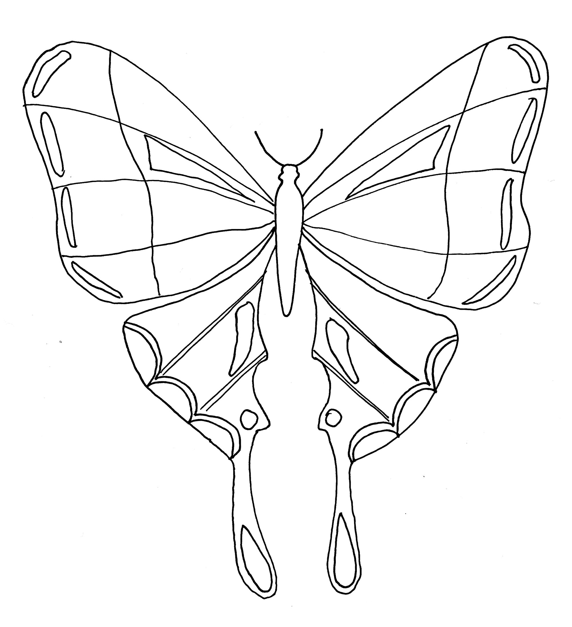 Butterflies Coloring Pages for Adults 169