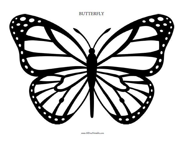 Butterflies Coloring Pages for Adults 17