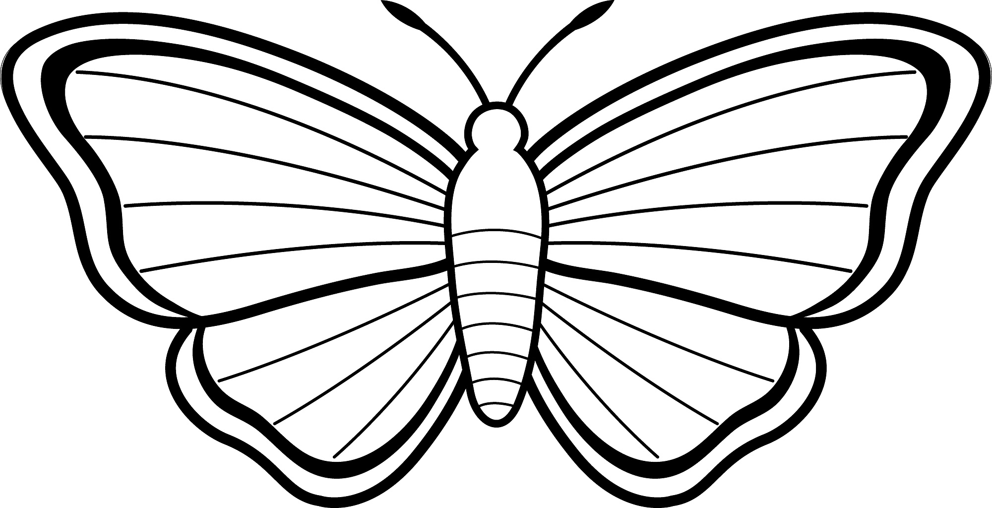 Butterflies Coloring Pages for Adults 170