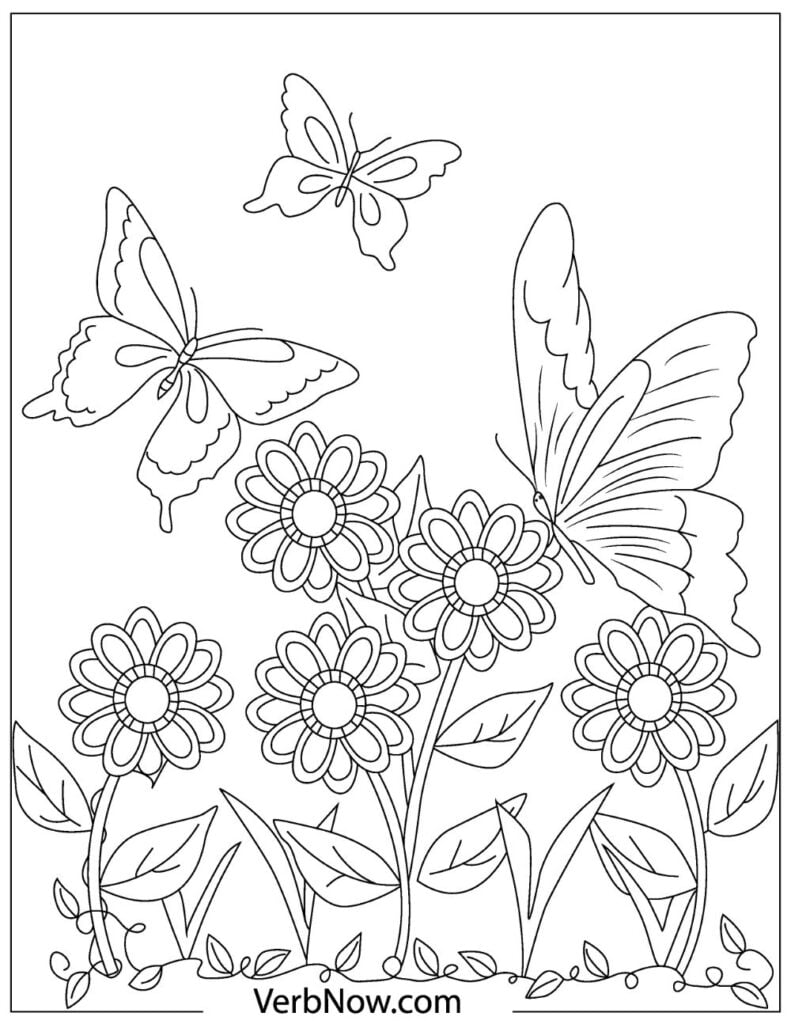 Butterflies Coloring Pages for Adults 173