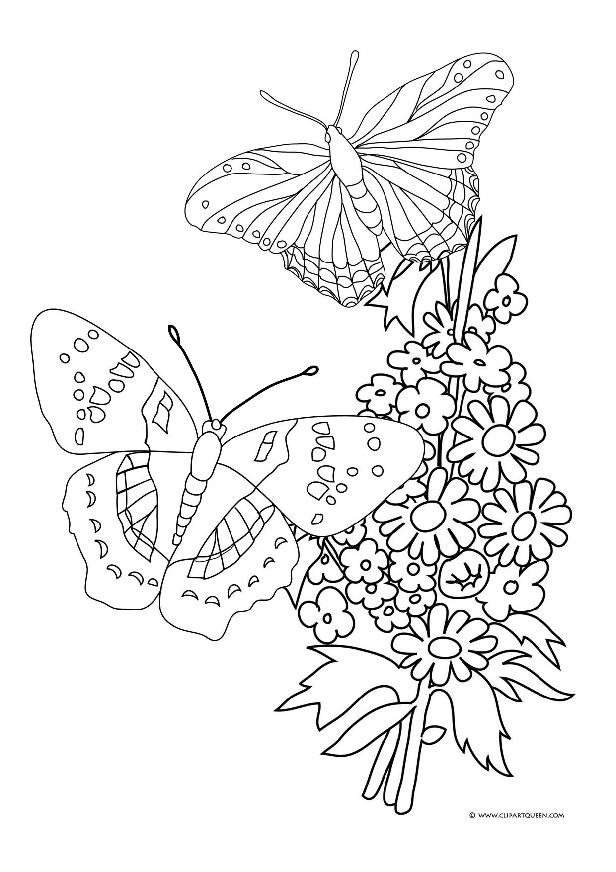 Butterflies Coloring Pages for Adults 174