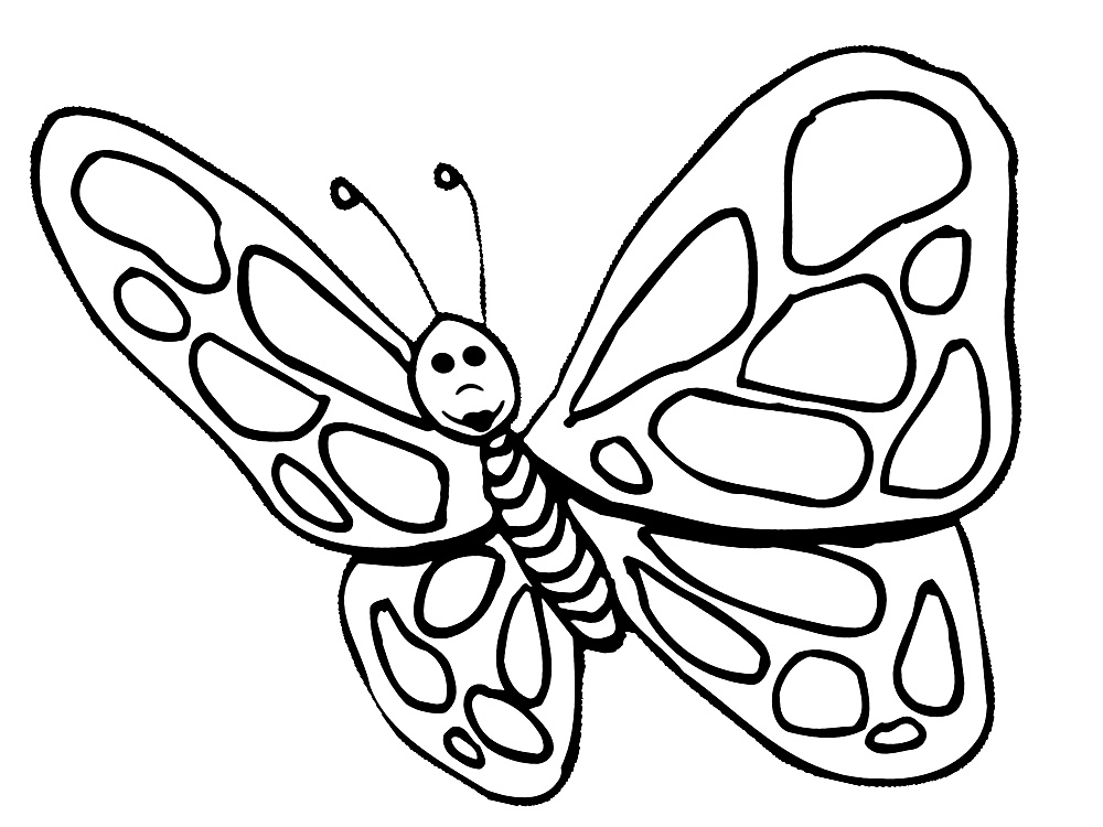 Butterflies Coloring Pages for Adults 180