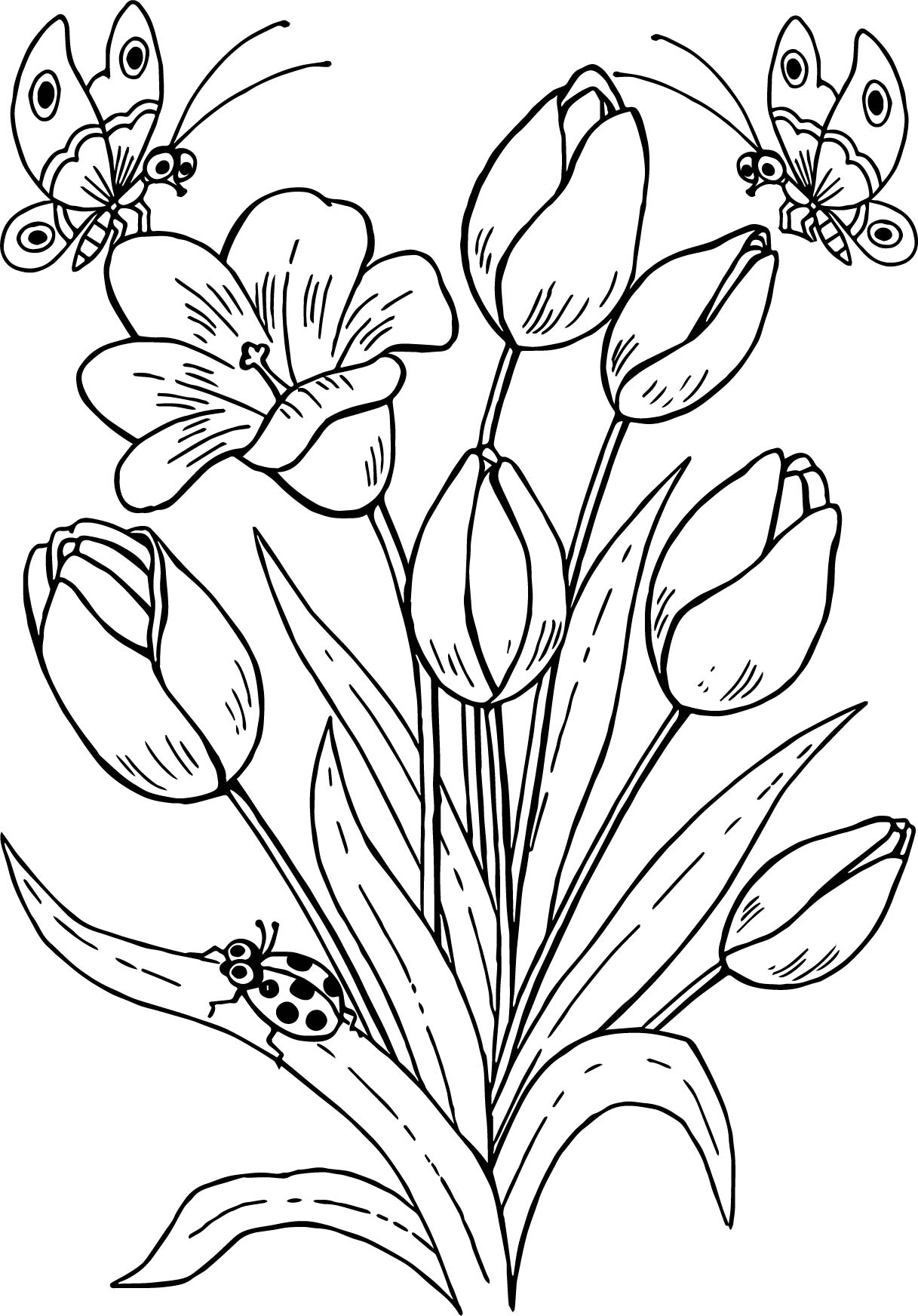 Butterflies Coloring Pages for Adults 19