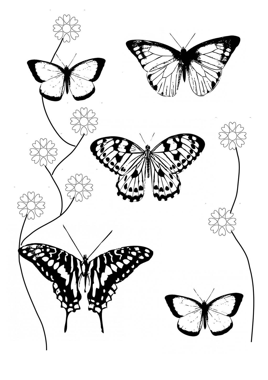 Butterflies Coloring Pages for Adults 2