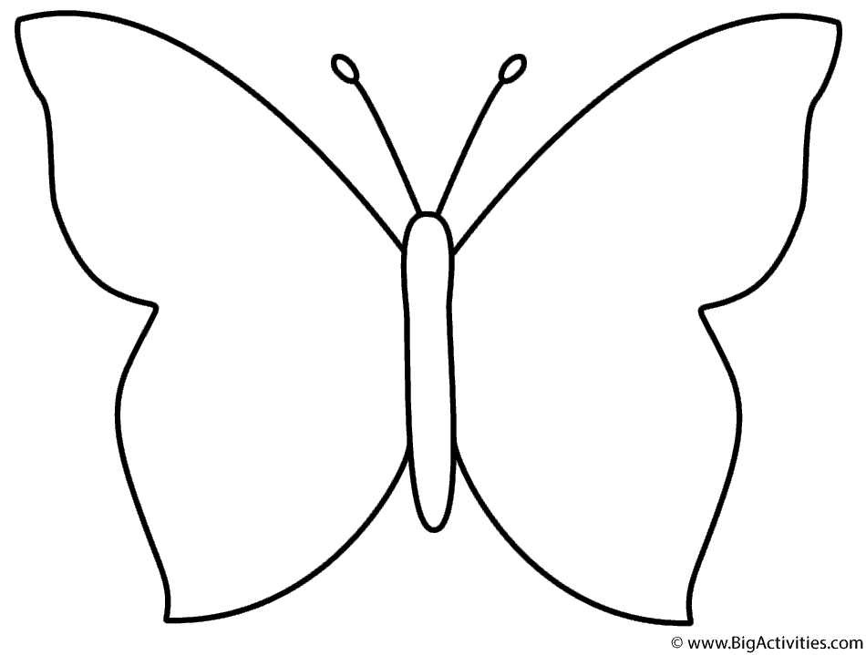 Butterflies Coloring Pages for Adults 41