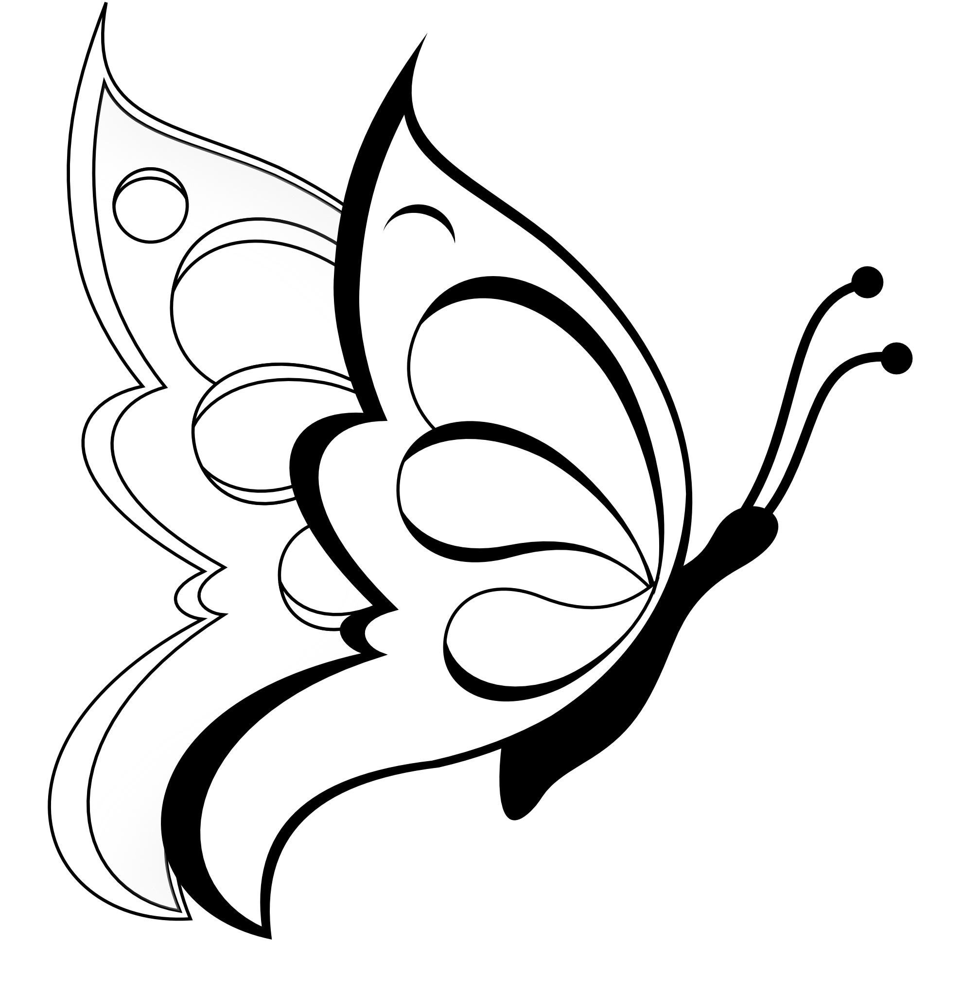 Butterflies Coloring Pages for Adults 44