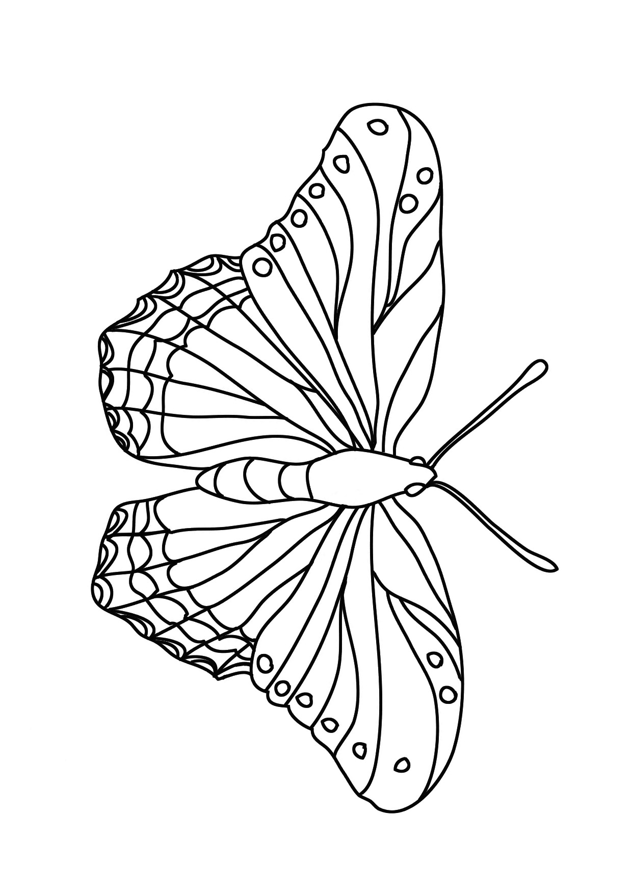 Butterflies Coloring Pages for Adults 45