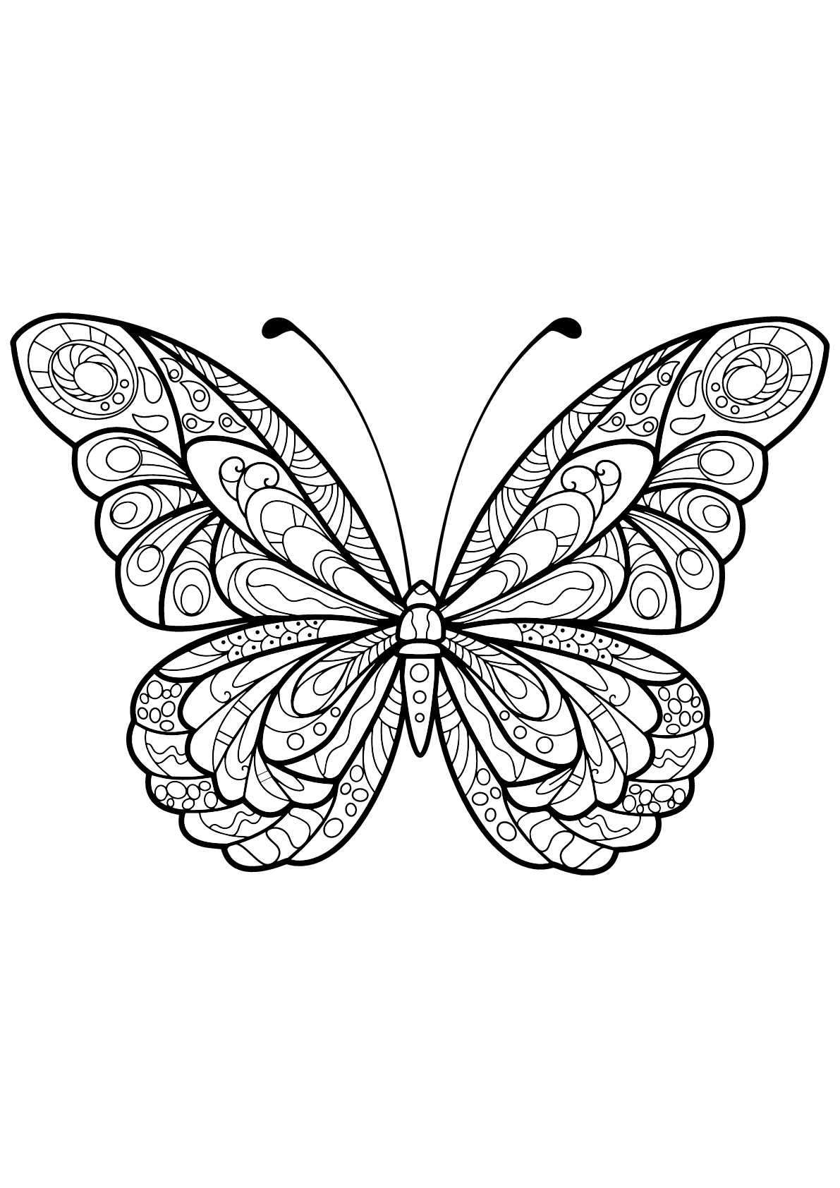 Butterflies Coloring Pages for Adults 47