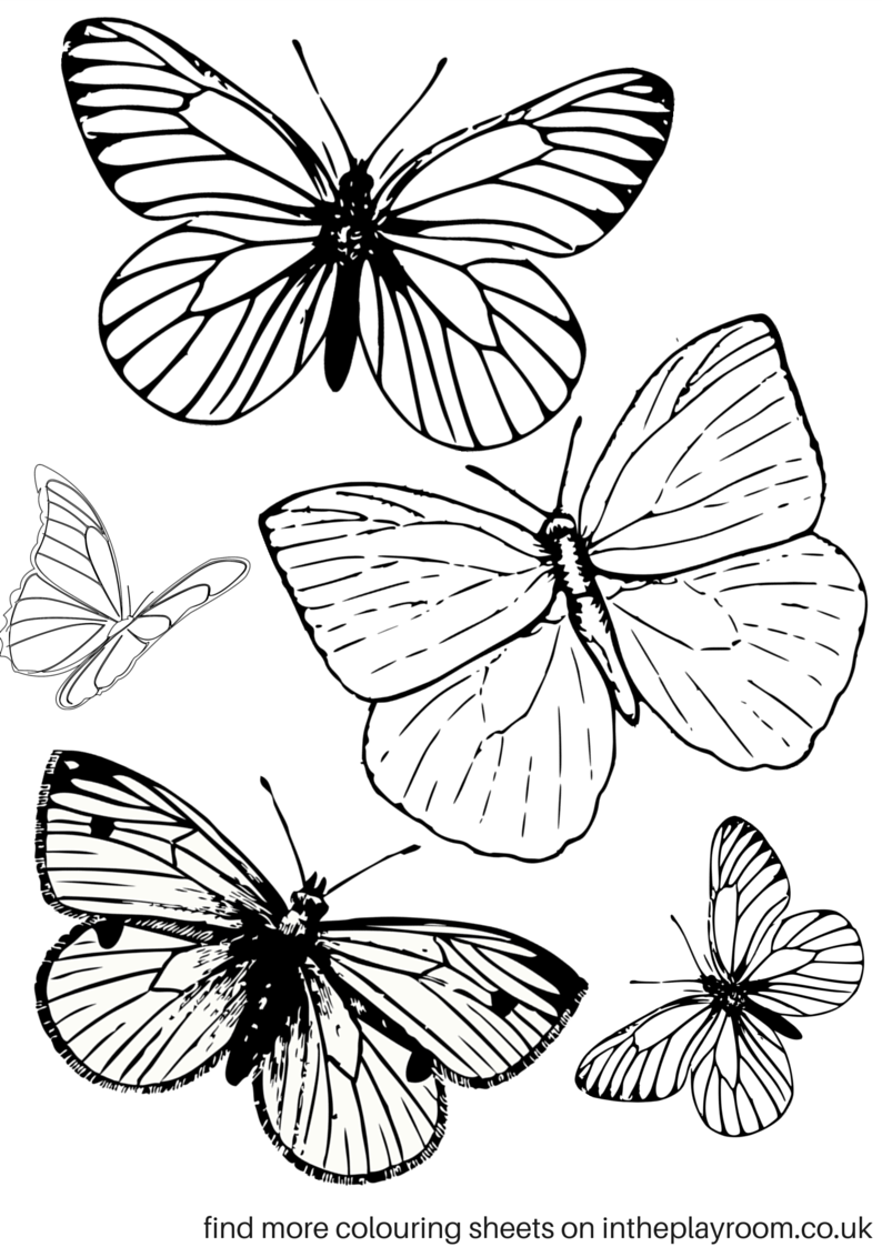 Butterflies Coloring Pages for Adults 48