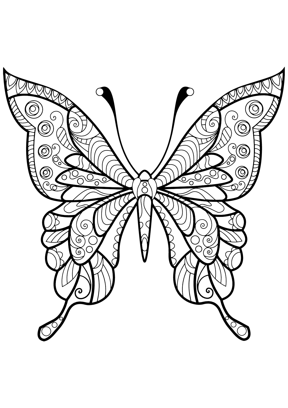 Butterflies Coloring Pages for Adults 51