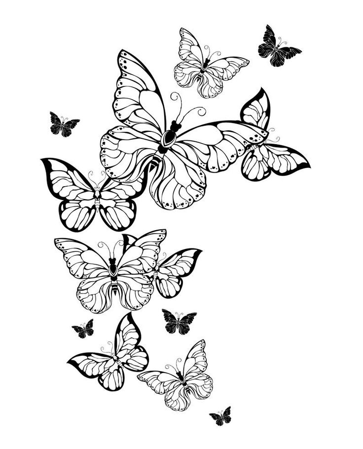 Butterflies Coloring Pages for Adults 53