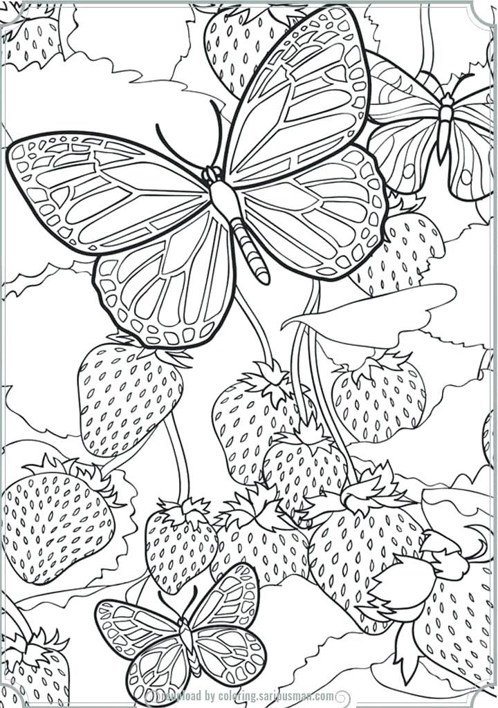 Butterflies Coloring Pages for Adults 57