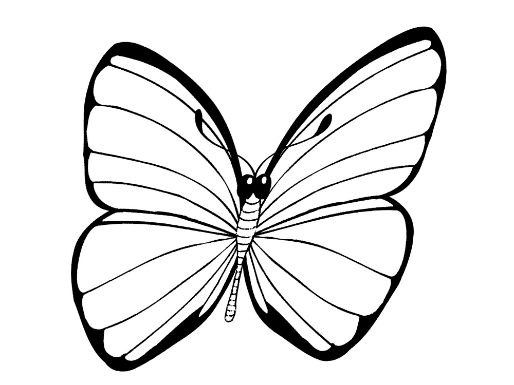 Butterflies Coloring Pages for Adults 58