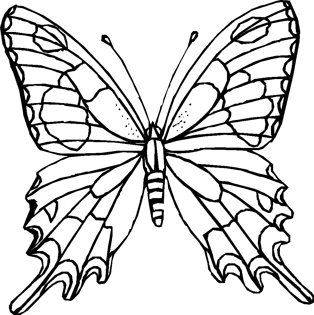 Butterflies Coloring Pages for Adults 6