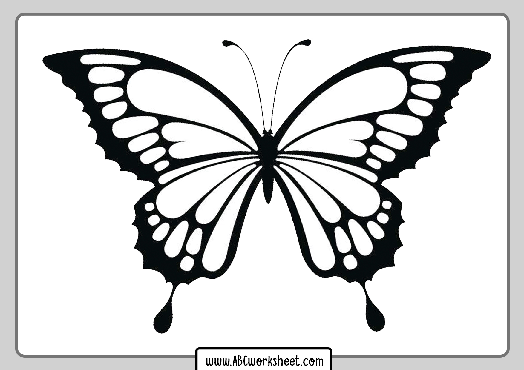 Butterflies Coloring Pages for Adults 64