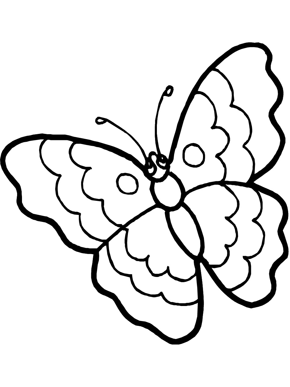 Butterflies Coloring Pages for Adults 66