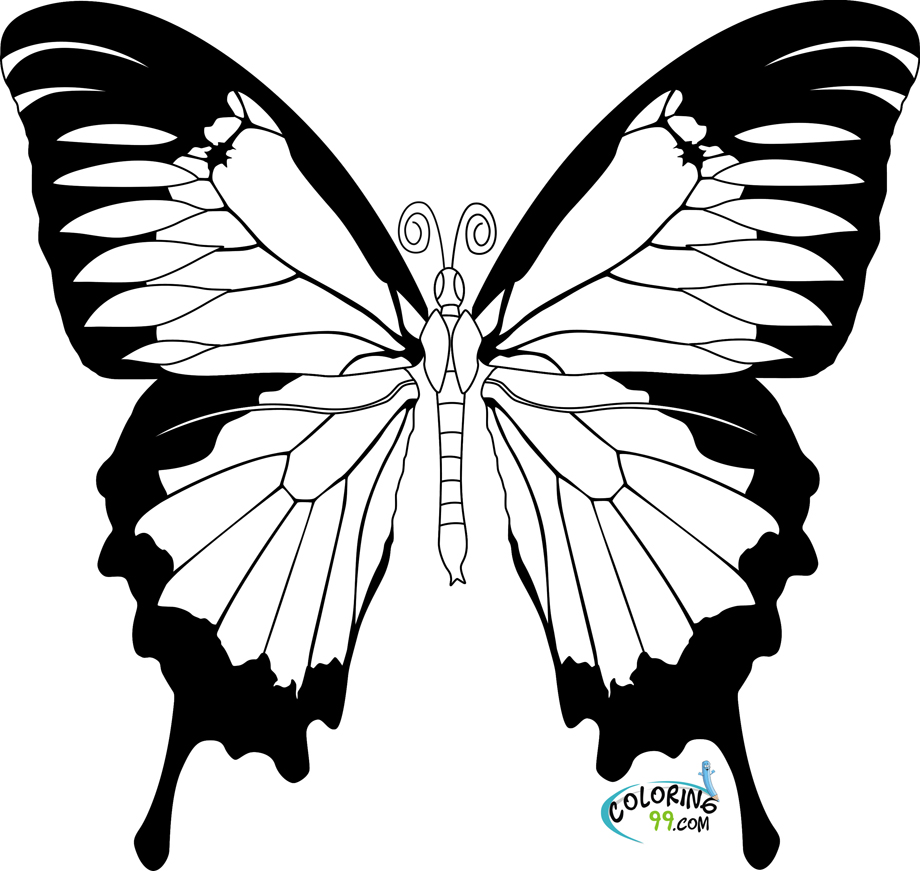 Butterflies Coloring Pages for Adults 75