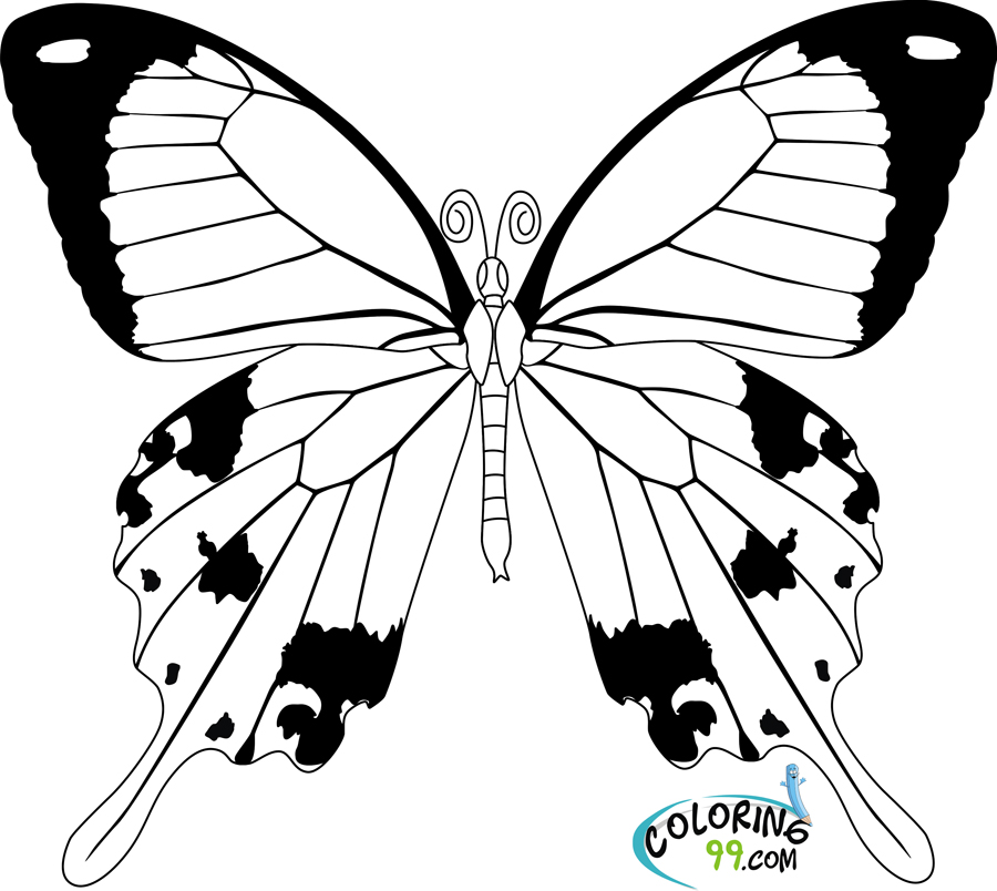 Butterflies Coloring Pages for Adults 77