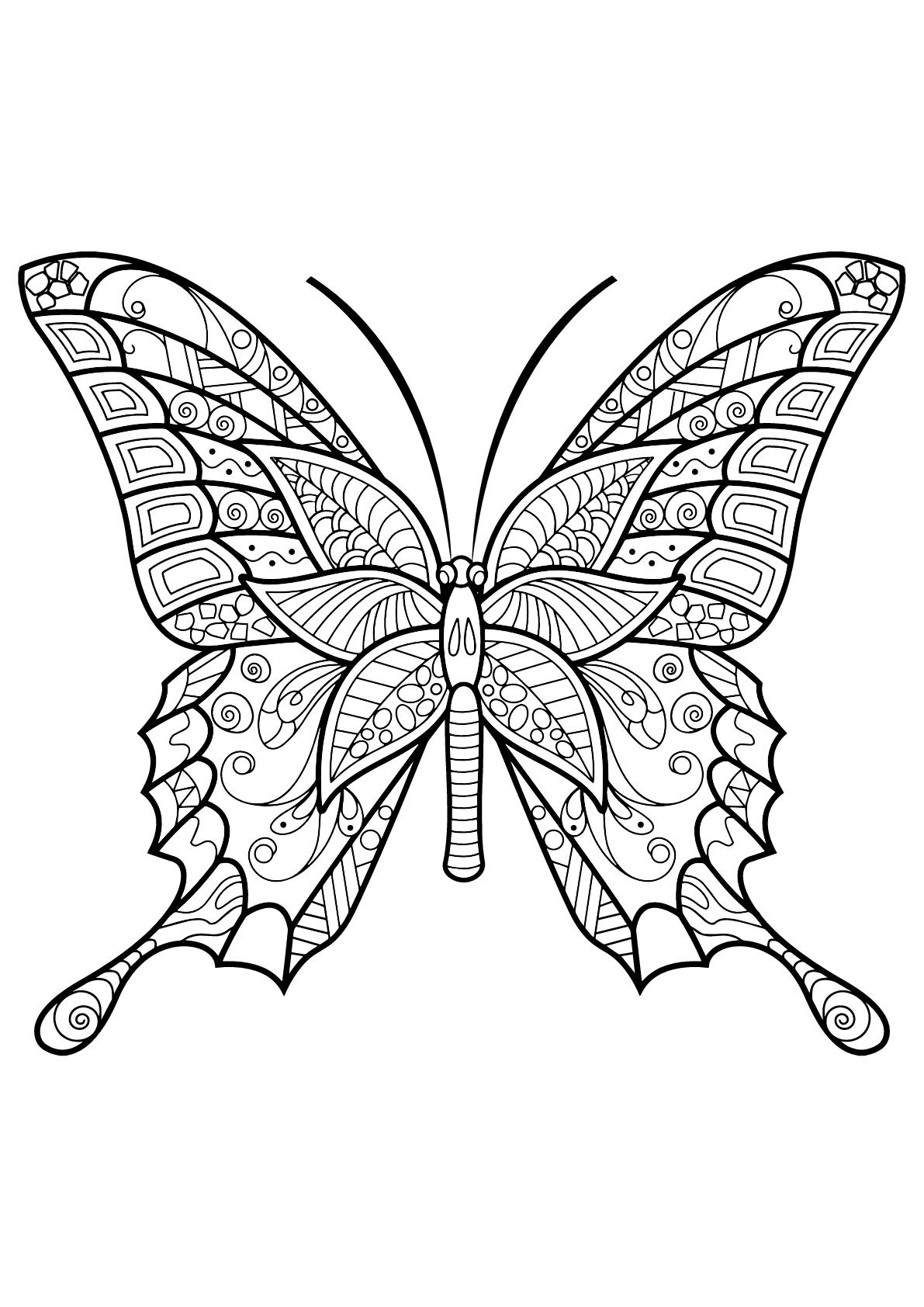 Butterflies Coloring Pages for Adults 8