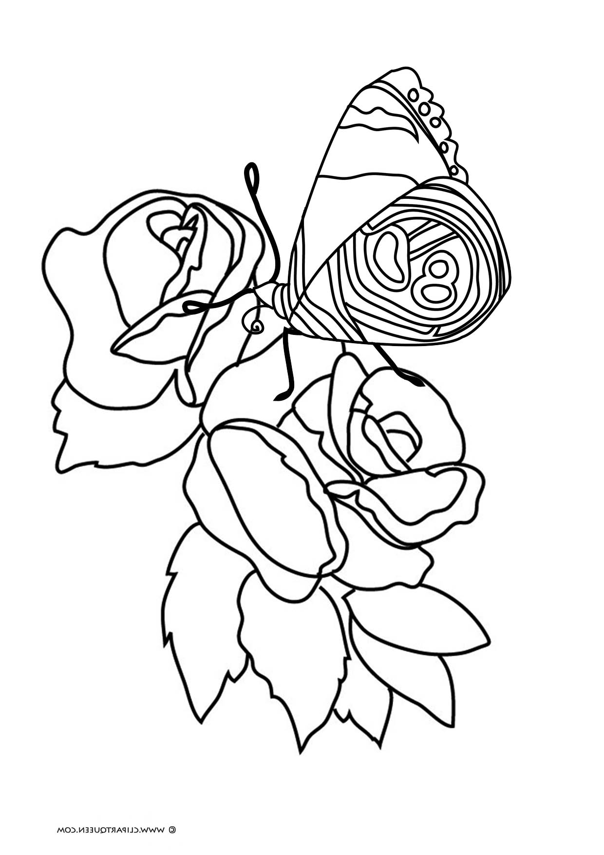 Butterflies Coloring Pages for Adults 81