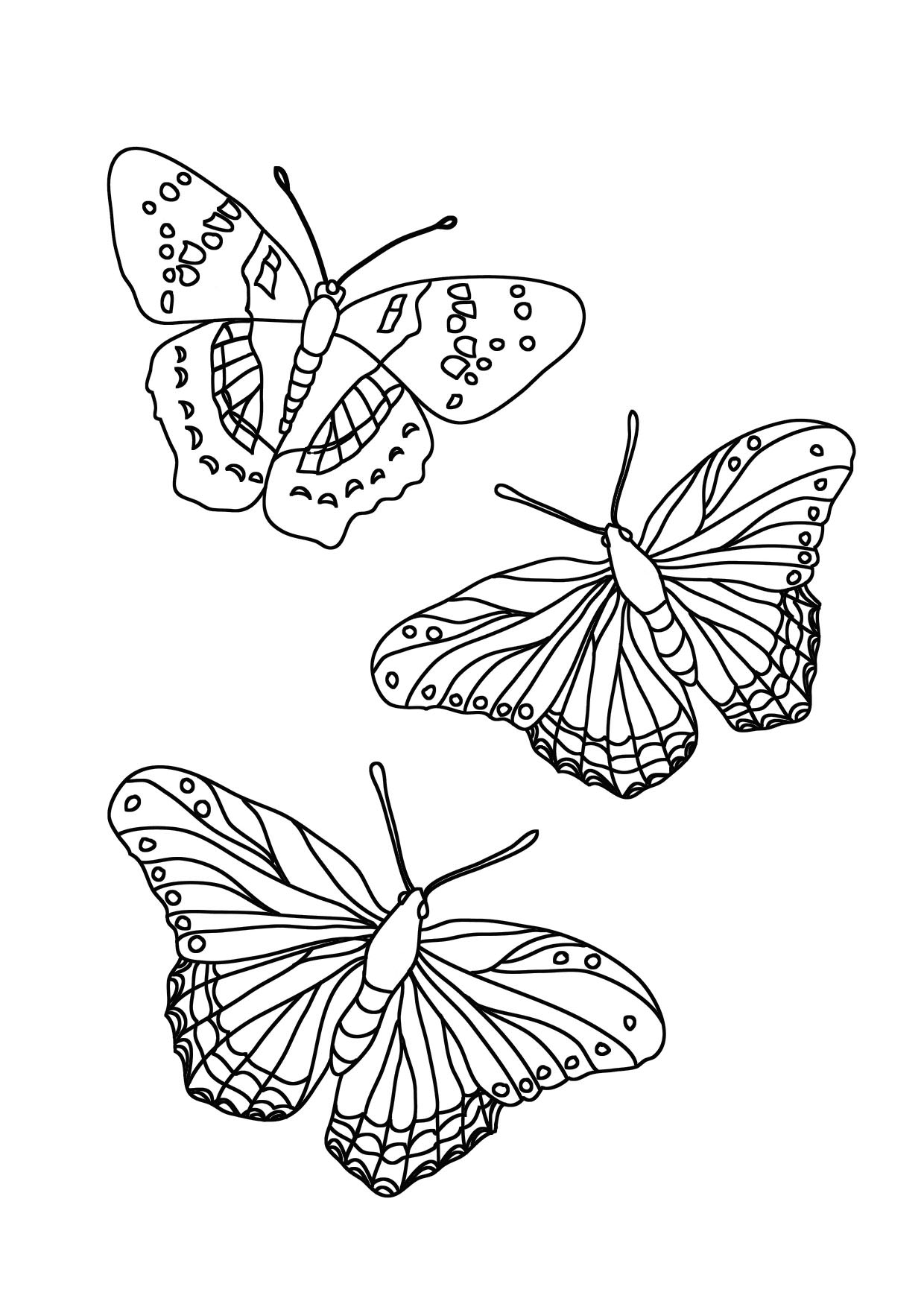 Butterflies Coloring Pages for Adults 87