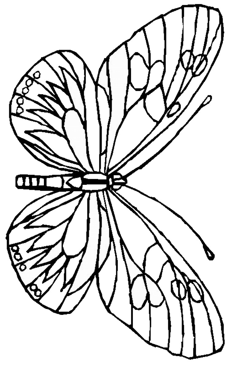 Butterflies Coloring Pages for Adults 9