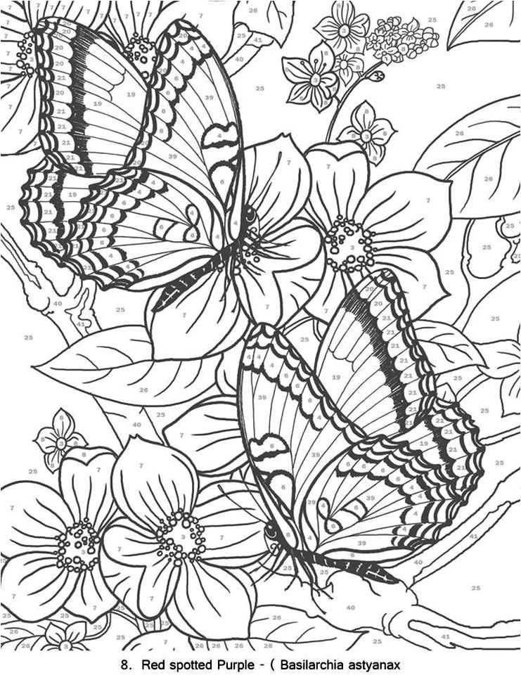 Butterflies Coloring Pages for Adults 97