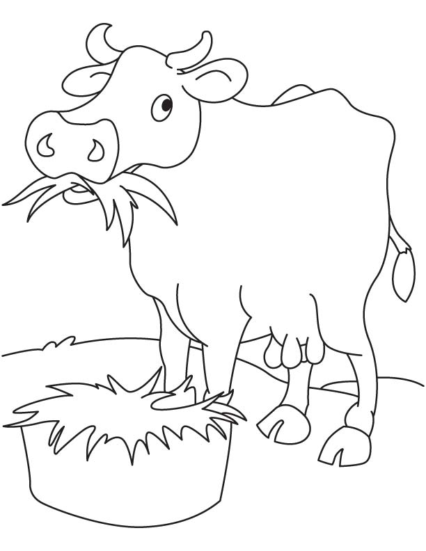 Cow Coloring Pages for Kids Printable 10