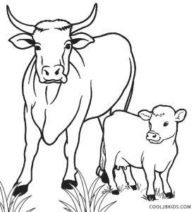 Cow Coloring Pages for Kids Printable 11