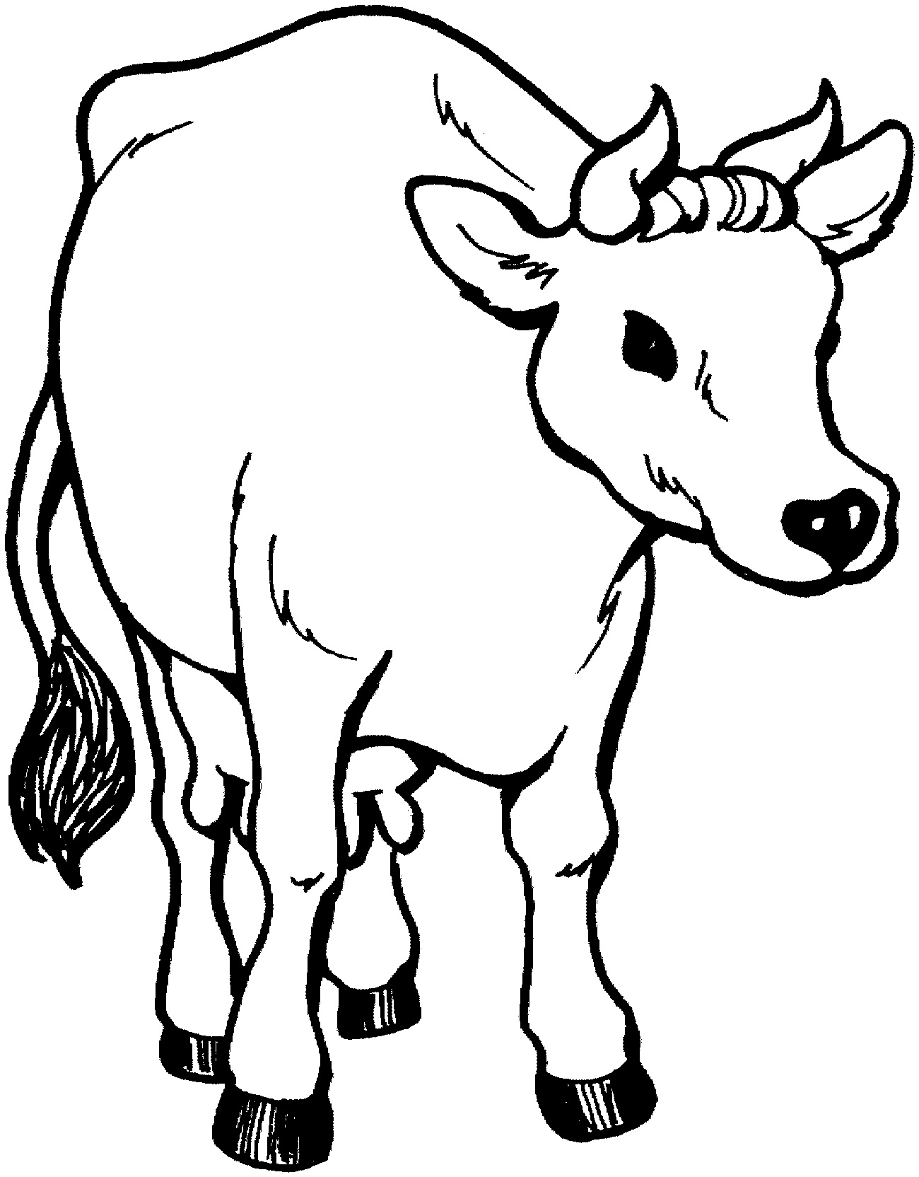 Cow Coloring Pages for Kids Printable 13